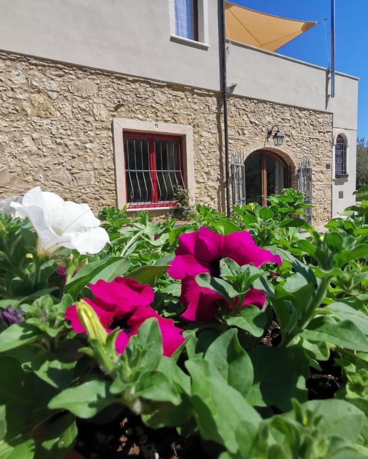Le Giuncaie - Vigna Con Alloggio Montescudaio Exterior photo